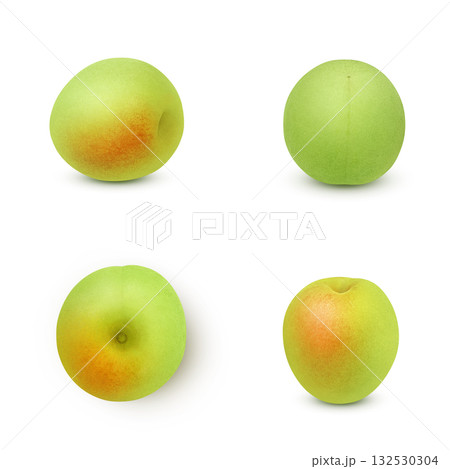 梅 イラスト リアル 梅の実 梅 イラスト リアル 梅の実 132530304