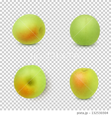 逼真的李子插圖 132530304