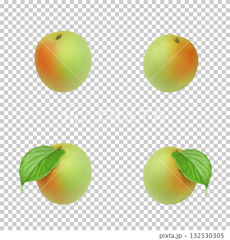 Plum illustration realistic plum fruit Plum illustration realistic plum fruit 132530305