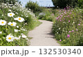 Path through the green meadow with blooming daisies and chamomiles under bright summer sky 132530340