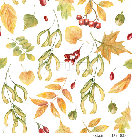 Autumn leaves and berry harvest watercolor seamless pattern on isolated background. Maple, oak, acer, ash leaf, rowan and barberry ornate. Floral illustration for textile design, rustic kitchen decor. 132530829