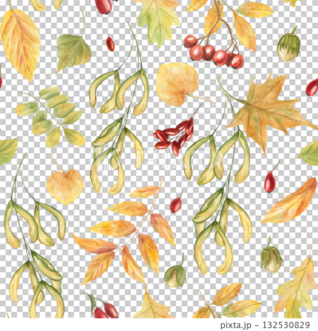 Autumn leaves and berry harvest watercolor seamless pattern on isolated background. Maple, oak, acer, ash leaf, rowan and barberry ornate. Floral illustration for textile design, rustic kitchen decor. 132530829