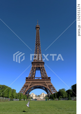 エッフェル塔（Eiffel Tower） 132531174