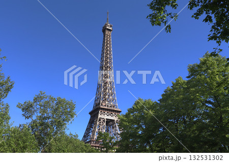 エッフェル塔(Eiffel Tower) エッフェル塔(Eiffel Tower) 132531302