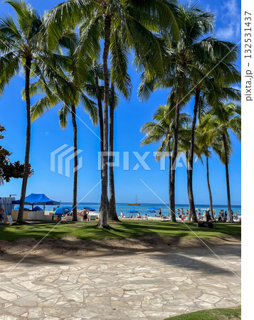ワイキキビーチとヤシの木が並ぶ南国の風景 132531437