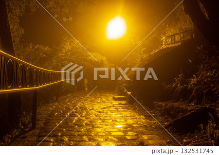 pathway at night with trees on either side. There is a street lamp emitting a bright, warm yellow light that is reflected off the wet cobblestones, rained recently or there is moisture in the air 132531745