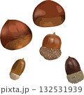 秋の木の実　ドングリ　栗 132531939