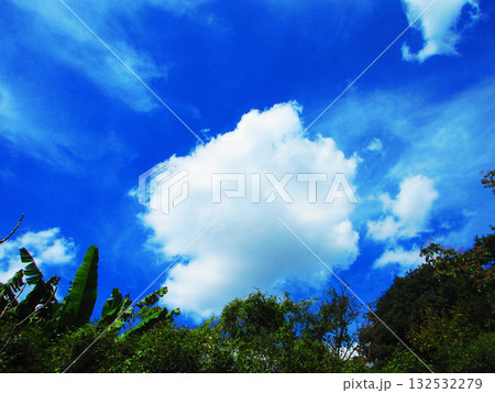 夏の青空と白雲と樹木の美しい風景 夏の青空と白雲と樹木の美しい風景 132532279