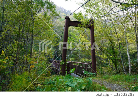 秋の南暑寒別岳登山道~吊り橋 秋の南暑寒別岳登山道~吊り橋 132532288