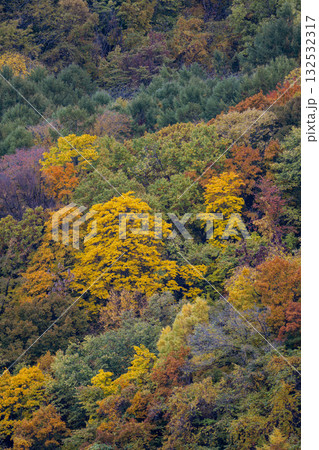 藻岩山秋景_1711 132532317
