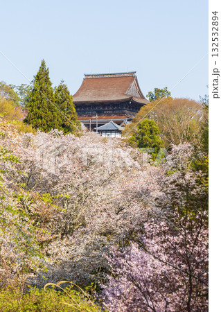 春の奈良 日本一の桜の名所 吉野山下千本 金峯山寺 春の奈良 日本一の桜の名所 吉野山下千本 金峯山寺 132532894