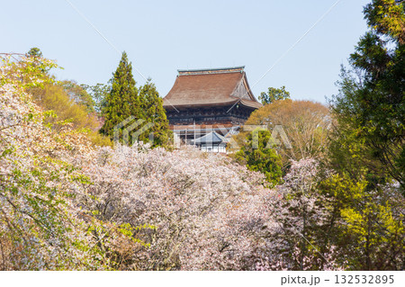 春の奈良　日本一の桜の名所　吉野山下千本　金峯山寺 132532895