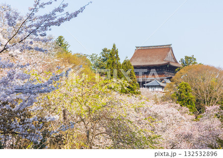 春の奈良　日本一の桜の名所　吉野山下千本　金峯山寺 132532896