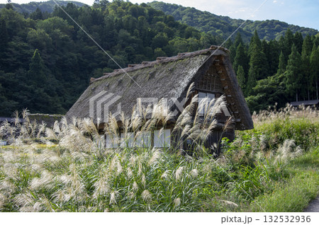 白川郷のすすきに囲まれた合掌造りの家と山の風景 白川郷のすすきに囲まれた合掌造りの家と山の風景 132532936