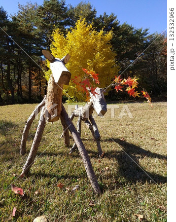 紅葉の時期に見つけた木馬 紅葉の時期に見つけた木馬 132532966