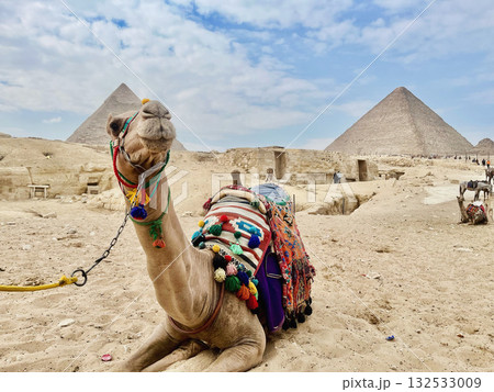 クフ王のピラミッドとラクダ クフ王のピラミッドとラクダ 132533009