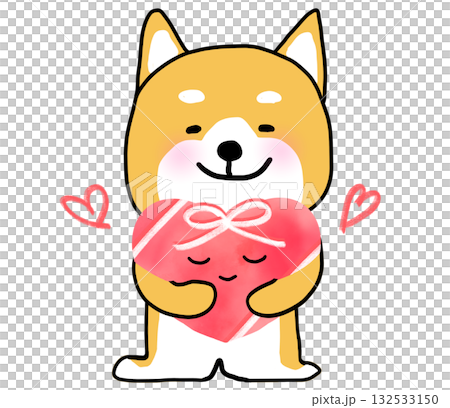 柴犬抱著一個繫著緞帶的心型禮物 132533150