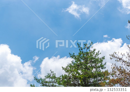 夏の空 夏山から見る青空と雲と樹木34 夏の空 夏山から見る青空と雲と樹木34 132533351