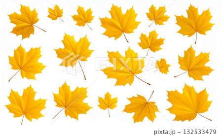 Colorful maple leaves on an autumn background 132533479