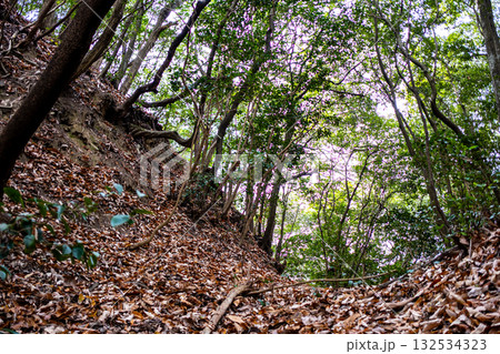 冬の金川城跡 北の丸北側の大堀切5 岡山県岡山市北区 冬の金川城跡 北の丸北側の大堀切5 岡山県岡山市北区 132534323