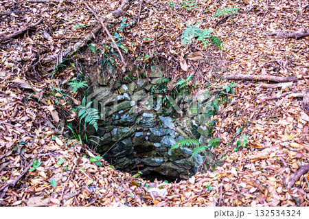 冬の金川城跡　白水の井戸　岡山県岡山市北区 132534324