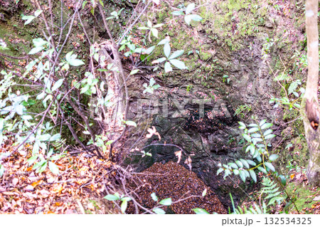 冬の金川城跡　天守の井戸1　岡山県岡山市北区 132534325