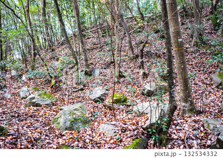 冬の金川城跡 出丸の切岸に転がる崩落した石 岡山県岡山市北区 冬の金川城跡 出丸の切岸に転がる崩落した石 岡山県岡山市北区 132534332