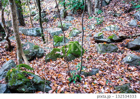 冬の金川城跡　出丸の切岸に転がる崩落した石　岡山県岡山市北区 132534333