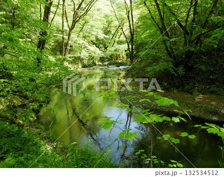 帝釈川と新緑 (広島県庄原市) 帝釈川と新緑 (広島県庄原市) 132534512