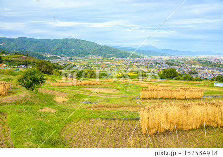 稲架掛けの風景と眼下に広がる善光寺平【姨捨の棚田】 稲架掛けの風景と眼下に広がる善光寺平【姨捨の棚田】 132534918