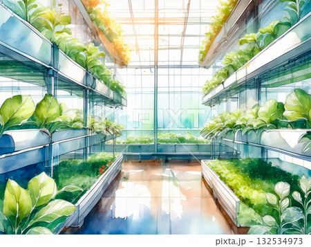水耕栽培の温室と葉物野菜の風景｜サステナブルなスマート農業の水彩イラスト 132534973