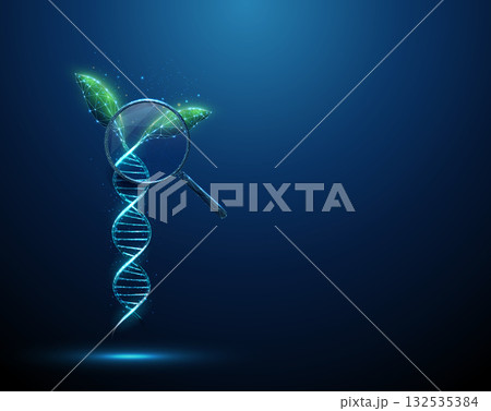 Green plant leaves growing from a blue 3D DNA helix under a magnifying glass. Sustainable agriculture, trait optimization, quality control concept. 132535384