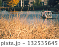 川に浮かぶボート 132535645