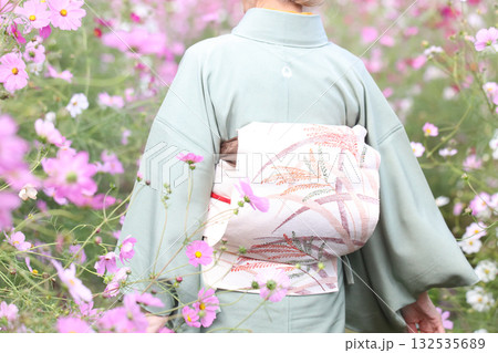 コスモス畑を歩く着物を着た女性 コスモス畑を歩く着物を着た女性 132535689