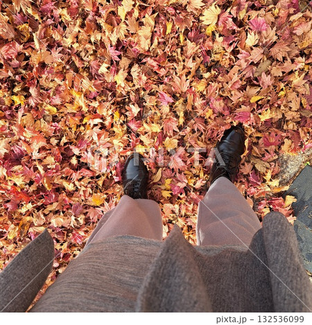 落ち葉の上に足を踏み出す 落ち葉の上に足を踏み出す 132536099