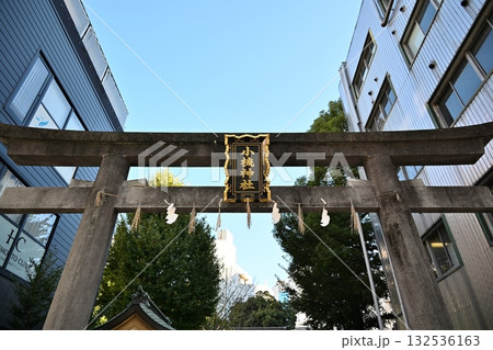 秋の朝の小梳神社鳥居　静岡 132536163
