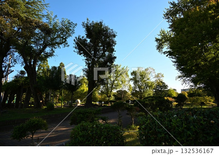 秋の朝の駿府城公園 静岡 秋の朝の駿府城公園 静岡 132536167