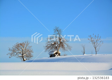 新潟県小千谷市池ヶ原雪峠冬景色 132536183