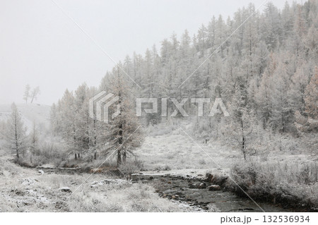 First snow in a river. Autumn landscape 132536934