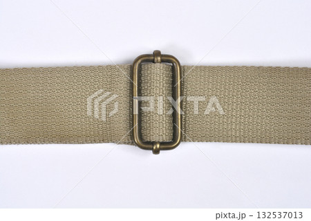 Adjustable Strap Buckle 132537013