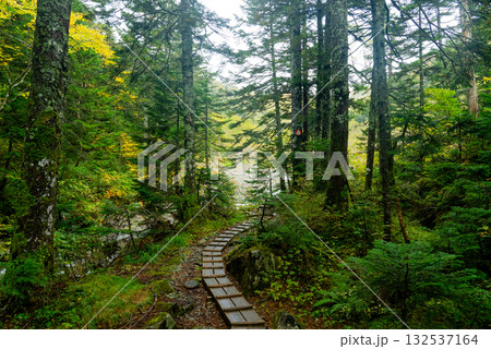 槍ヶ岳の山道02 132537164