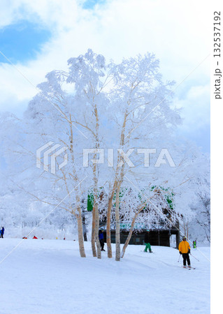 樹氷（長野県野沢温泉スキー場） 132537192