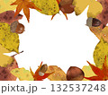 秋の落ち葉や木の実のフレーム 132537248