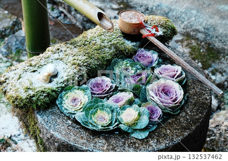 葉牡丹の花手水 132537462