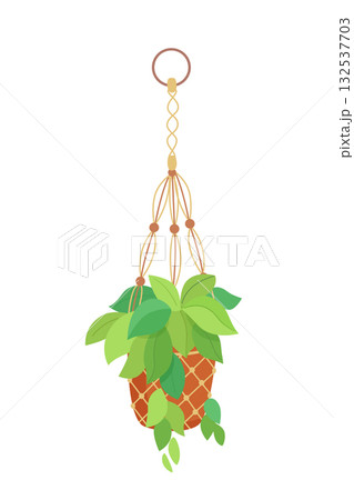 House plant in hanging macrame pot. Home green garden. Vector illustration of tropical flowers in hanger. Cute beautiful handmade home or office decoration 132537703