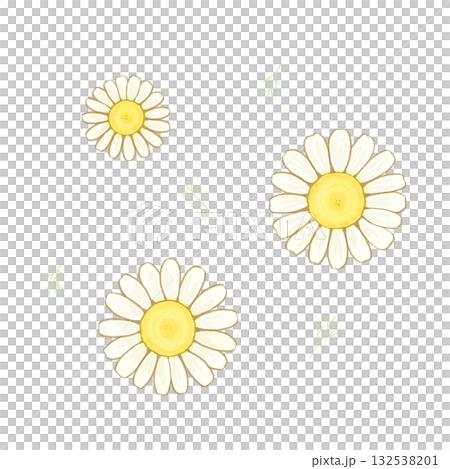 カモミールのイラスト 132538201