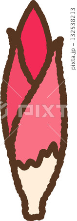 手書き風のシンプルアイコンイラスト ミョウガ 手書き風のシンプルアイコンイラスト ミョウガ 132538213