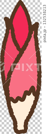 手書き風のシンプルアイコンイラスト ミョウガ 手書き風のシンプルアイコンイラスト ミョウガ 132538213