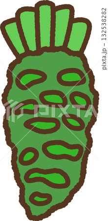 手書き風のシンプルアイコンイラスト　わさび 132538282