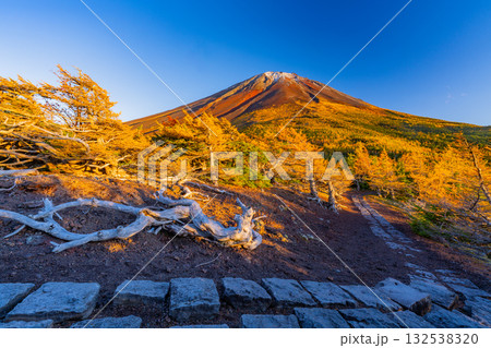 【山梨県】富士山・初冠雪と奥庭の紅葉　夕景 132538320